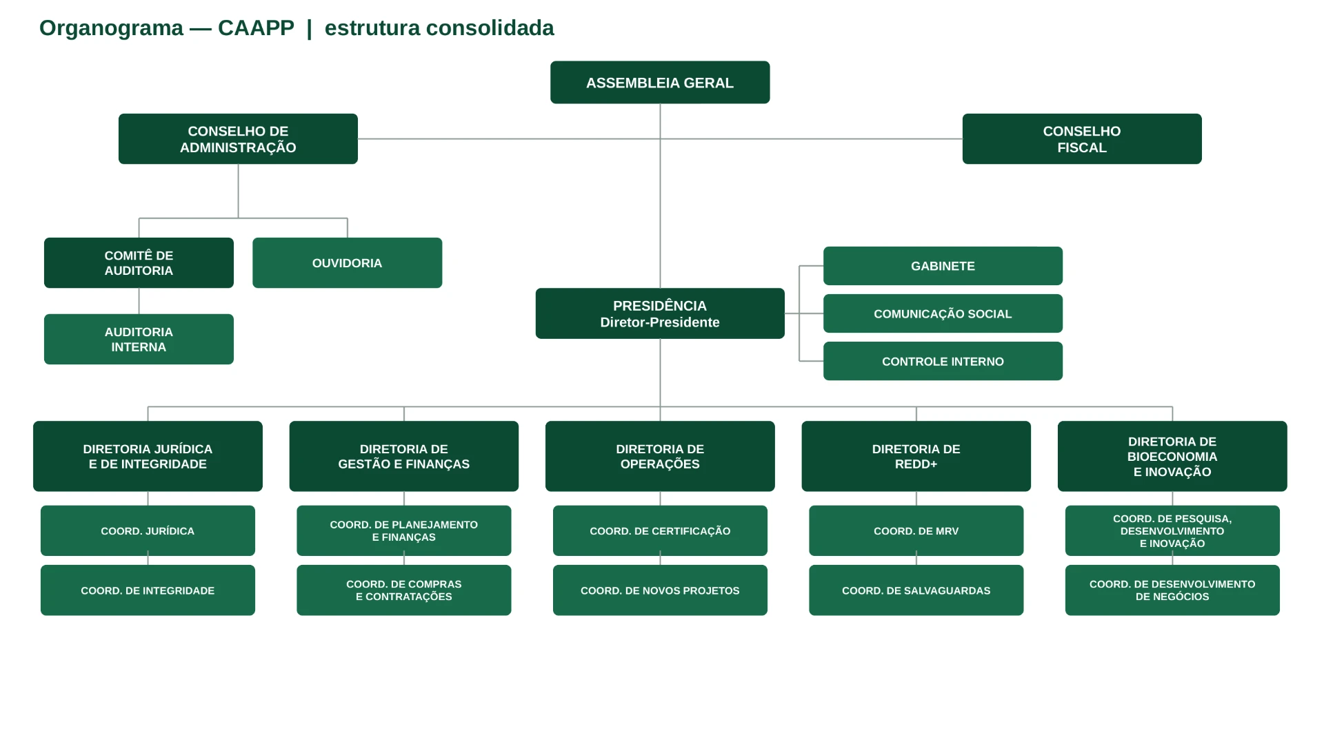 Organograma da CAAPP — estrutura consolidada