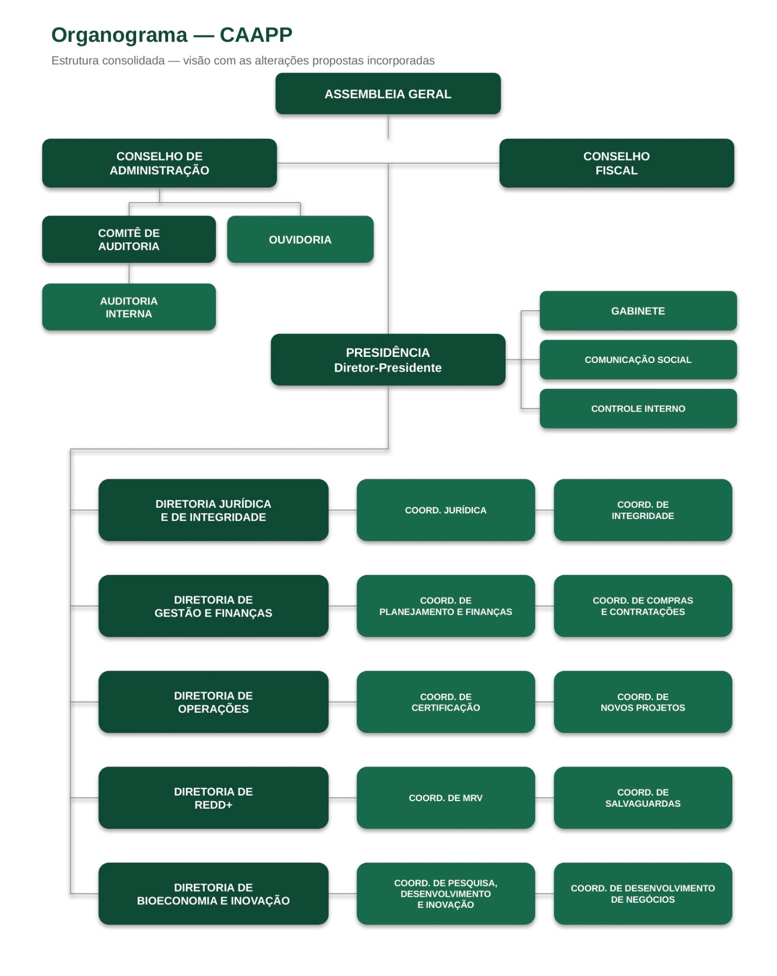 Organograma da CAAPP — estrutura consolidada